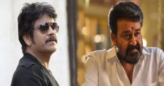 Nagarjuna and Mohanlal for a Bollywood multi-starrer
