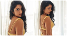 Meera Jasmine Bra photos Hot Photoshoot